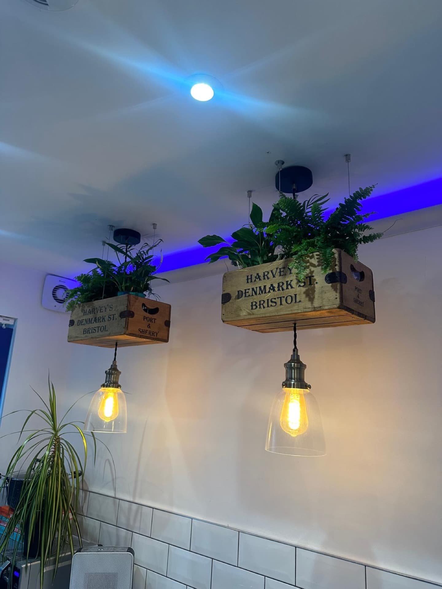 Decorative pendant lighting in modern interior space